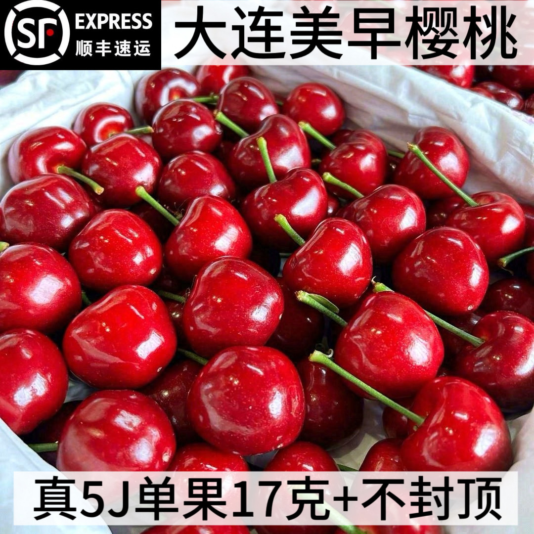 正宗大连美早大樱桃新鲜水果整箱礼盒国产车厘子脆甜现摘现发顺丰