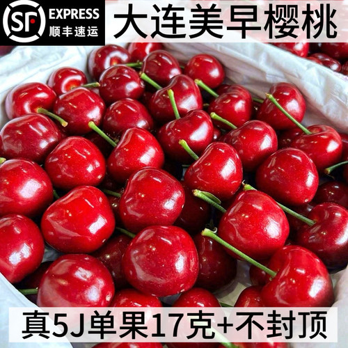 大连美早樱桃产地直发颗颗精品