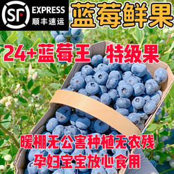 丹东蓝莓鲜果新鲜高端水果当季蓝梅高山怡颗孕妇宝宝整箱包邮顺丰