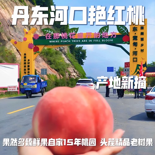 丹东河口艳红桃大果应季水蜜桃