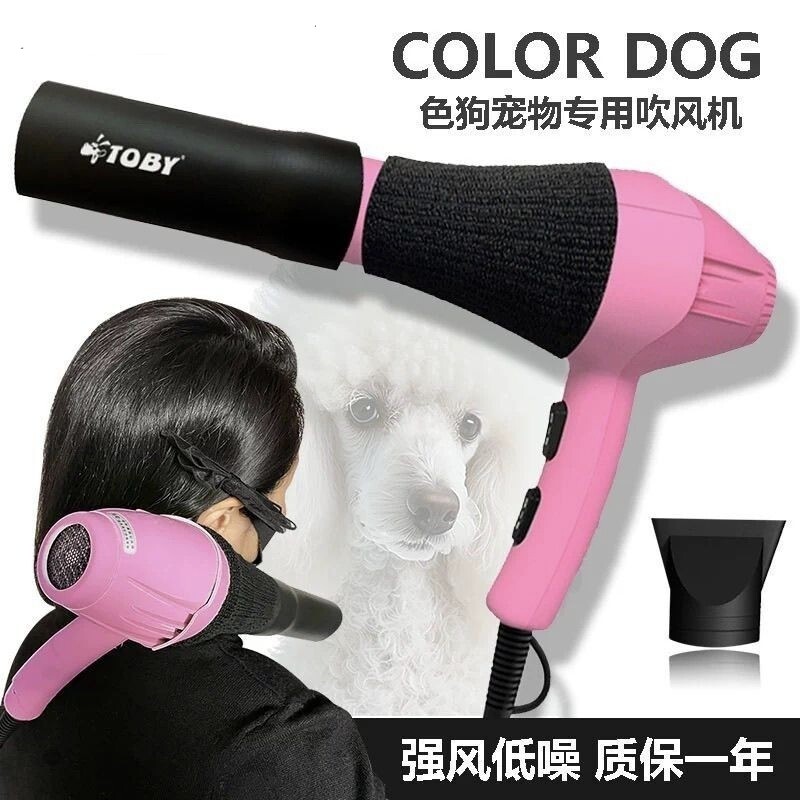 色狗宠物吹风机筒大功率狗狗猫咪吹水机吹毛神器宠物店美容师专用