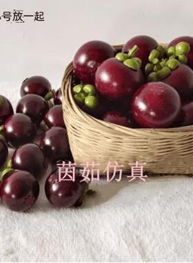加重高仿真水果蔬菜模型假水果橱窗水果店装饰品摆件仿真山竹样品