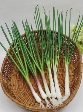 仿真水果蔬菜模型 仿真葱蒜 假葱家居庭园装饰 甩葱舞蹈 模型道具