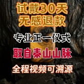 正宗天然雷击木枣木手串无事牌挂件雷心 手串 取自泰山山脉