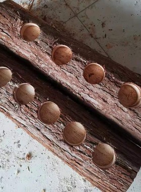 木质工艺品摆饰创意阳台 花盆 木桩蜡烛台家居装饰多肉小花盆摆件