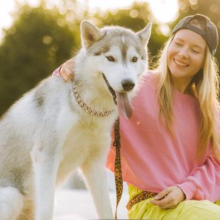 跨境热销狗狗金链子项链宠物链子粗金链子古巴链犬类项饰圈子