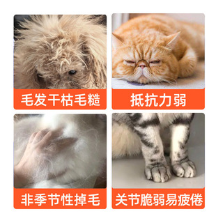 颤栗宠物鱼油片200片代工美毛护肤猫狗通用深海鱼油片宠物营养品