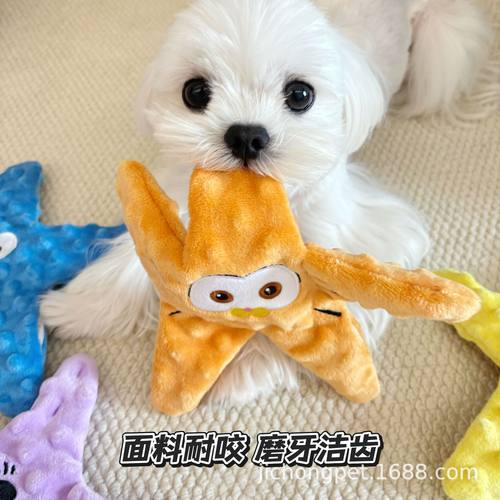 狗狗玩具发声玩具泰迪海星玩具磨牙金毛法斗中型犬宠玩具