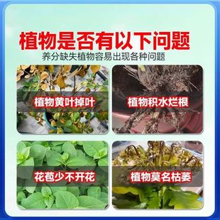 分销速效再生剂植物通用型浓缩营养液绿植花卉盆栽家庭园艺肥