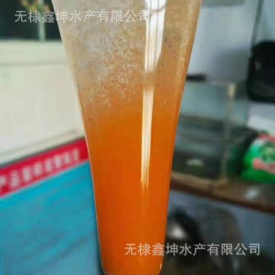 藏湖玉珠 丰年虾卵 丰年虾卤虫卵西藏双湖大红卵 无水可孵化
