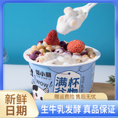 饭小丽酸奶谷物杯生牛乳发酵冻干水果麦片混营养早餐代餐解馋饱腹