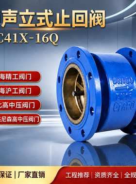 上海沪工精工消声止回阀HC41X