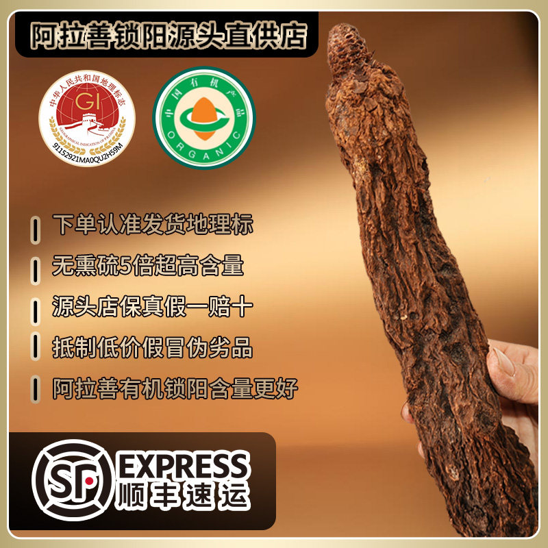 阿拉善非种植有机金锁阳正品整根内蒙古肉苁蓉淫羊藿中药材泡酒料