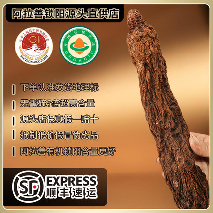 阿拉善非种植有机金锁阳正品整根内蒙古肉苁蓉淫羊藿中药材泡酒料