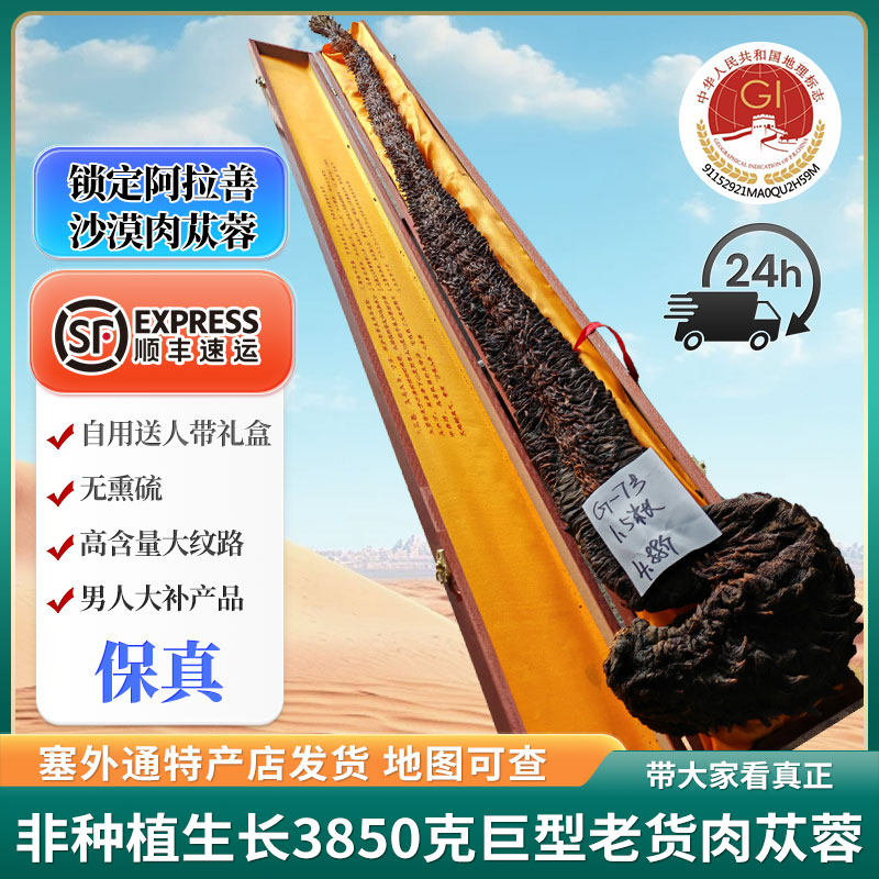 阿拉善特大肉苁蓉王泡水肉苁蓉粉干片泡酒料养生茶送礼下单送礼盒
