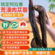 阿拉善肉苁蓉整根正品 内蒙古正宗沙漠软性油苁蓉送淫羊藿中药材料