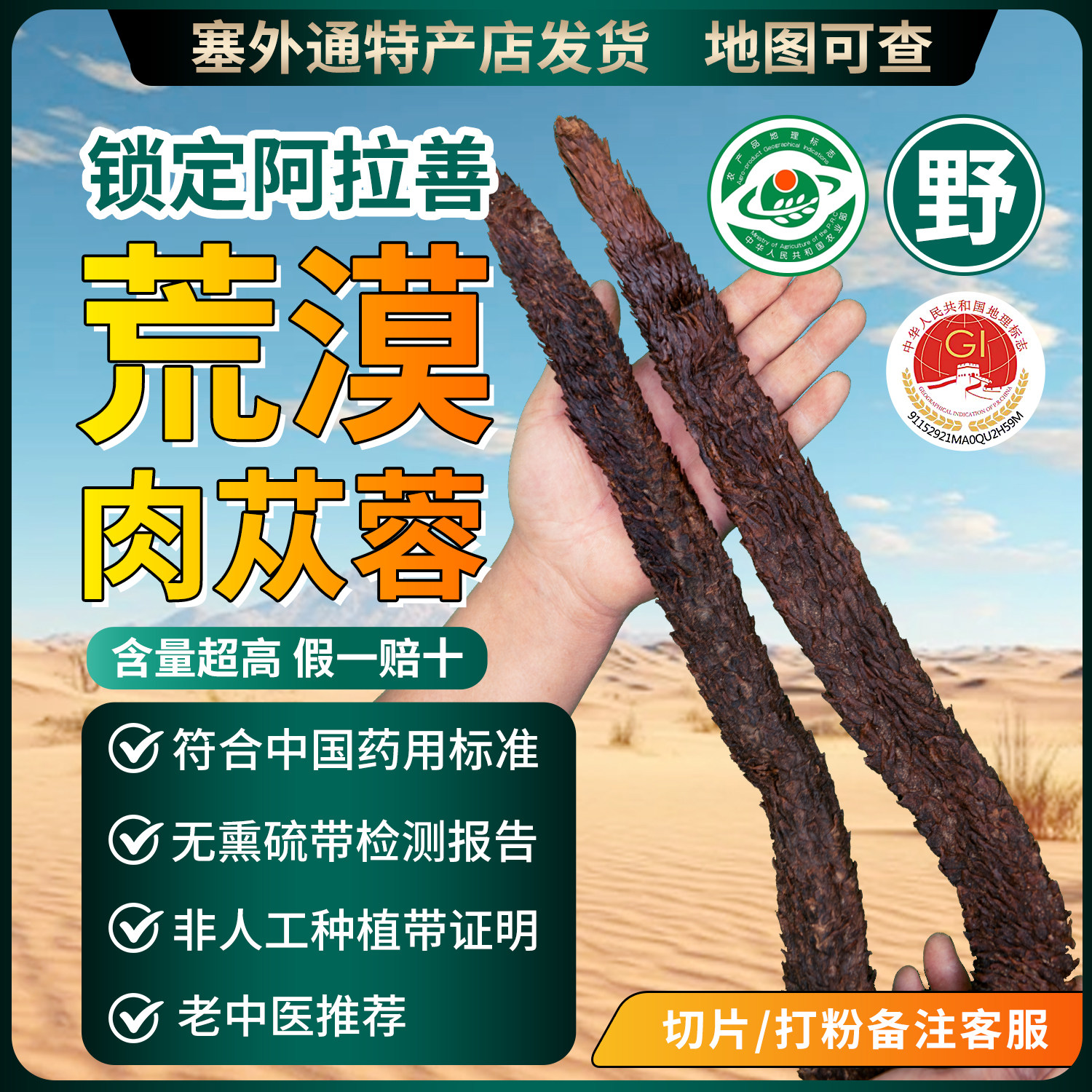 阿拉善肉苁蓉金锁阳整根正品内蒙古正宗沙漠软性送淫羊藿中药材