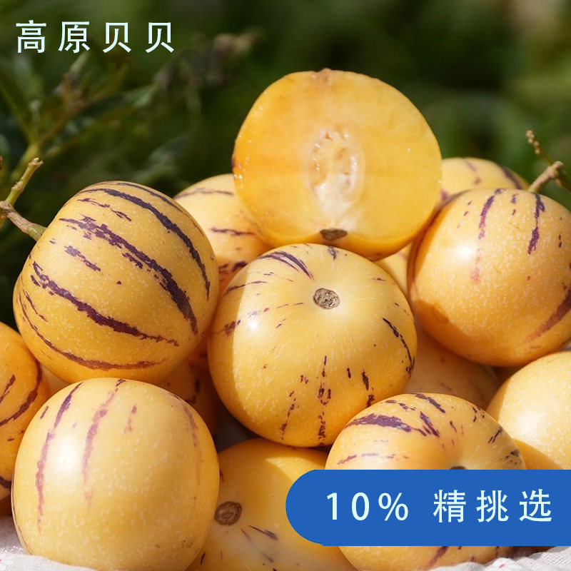 精选10%好果 云南石林人参果树上自然成熟黄肉黄心圆果香甜人参果