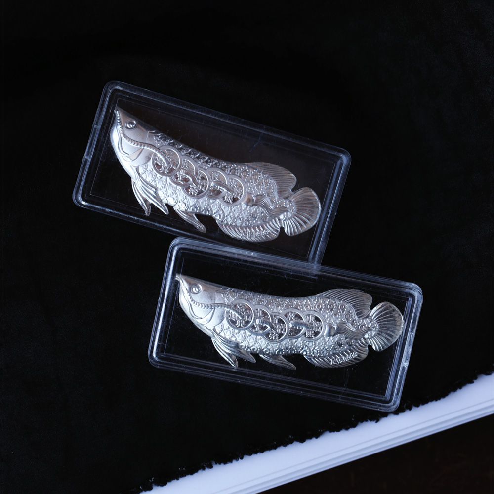 999足银金龙鱼男女生