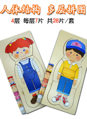 男孩女孩身体结构人体器官拼图
