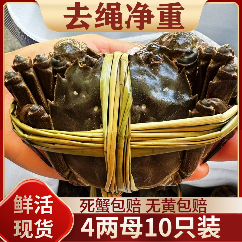 9月18日上市，先可咨询同款卡片