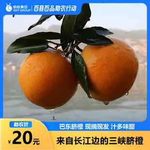 新鲜橙子当季水果湖北巴东脐橙5斤