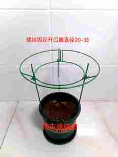 蟹爪兰支架爬藤花架伞形开口圈通用款圈可以上下调节铁制品不风化