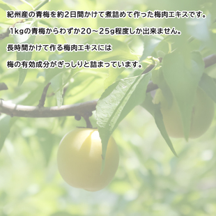 日本直邮代购 深见梅店青梅精梅丹180g 碱性食品 熬夜疲劳