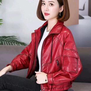 今年流行海宁真皮皮衣女2026冬短款鹅绒洋气减龄机车立领牛