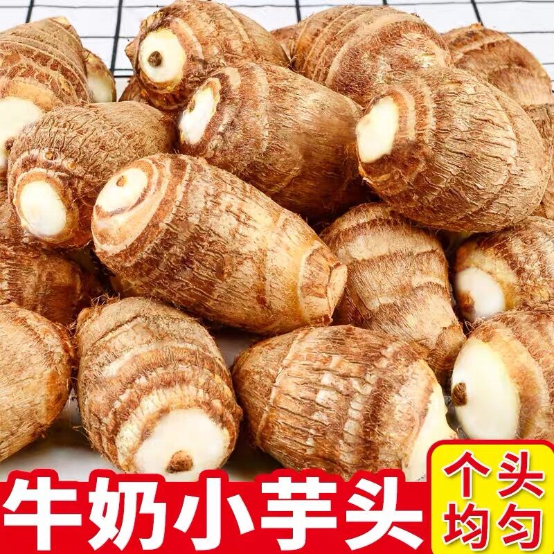 江西小芋头新鲜蔬菜现挖农家当季