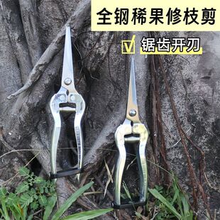 .不锈钢摘果稀果剪子新款采果蔬果剪刀葡萄花椒剪园艺采摘神器修