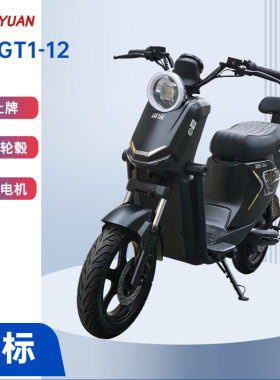 深远GT1-12电动车12寸轮毂国标可上牌外卖骑手长续家用上班通勤