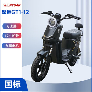 12电动车12寸轮毂国标可上牌外卖骑手长续家用上班通勤 深远GT1
