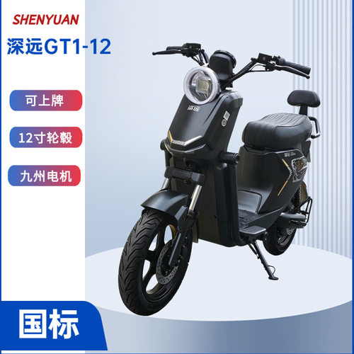 深远GT1-12电动车12寸轮毂国标可上牌外卖骑手长续家用上班通勤