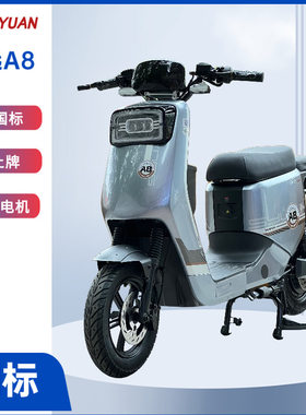 深远A8电动车新国标可上牌外卖骑手长续航家用载人载物载重电瓶车