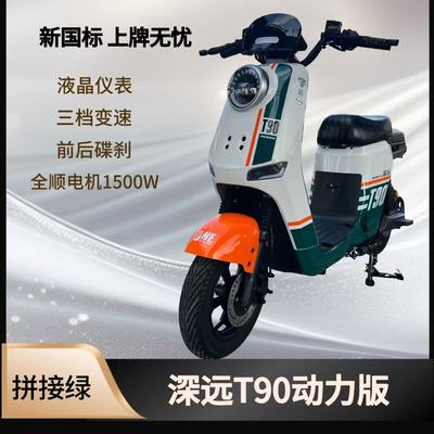 深远T90动力版电动自行车新国标外卖骑手代步电瓶车大功率长续航