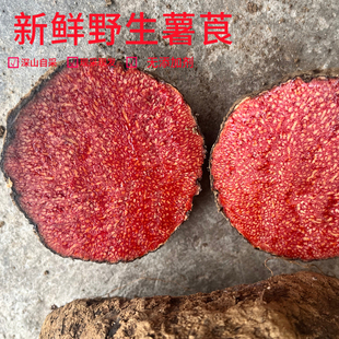 广西深山野生薯莨新鲜现挖朱砂莲鸡血莲红药子天然染料可染香云纱