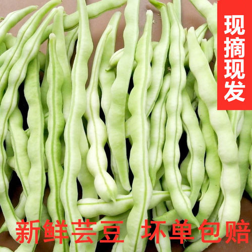 山东五莲特产新鲜芸豆时令蔬菜