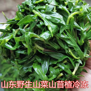 山东冷冻山菜山苜楂野生山蚂蚱菜山麻楂山麦山珍菜石蕊花3斤包邮
