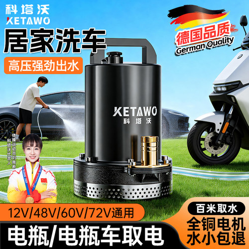 电瓶车专用抽水泵小型高压家用洗车潜水泵大功率电动12V48V60V72V