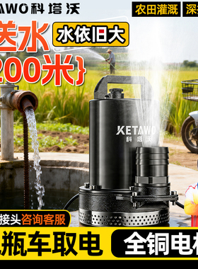 电动车专用直流抽水泵家用农用灌溉12V24V48V72V小型高扬程潜水泵