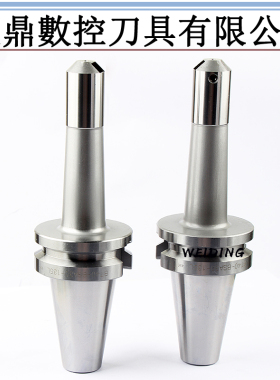 BT50/BT40-BSA25/30/38/42/50/62/72/90 45度斜插式数控粗镗刀柄