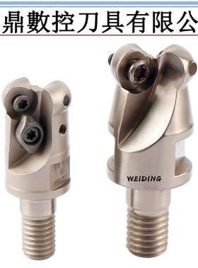 台湾进口EMR铣刀头16 17 20 21R4牛鼻刀25 26 35R5锁牙式铣刀头