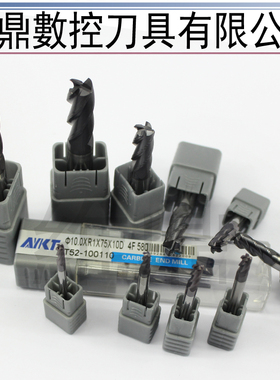 原装台湾AYKT圆鼻铣刀 58度钨钢铣刀 圆鼻刀D1R0.2X50~D12R0.3X75