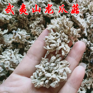 福建省武夷山农家干货土特产龙爪菇猫爪菇250克