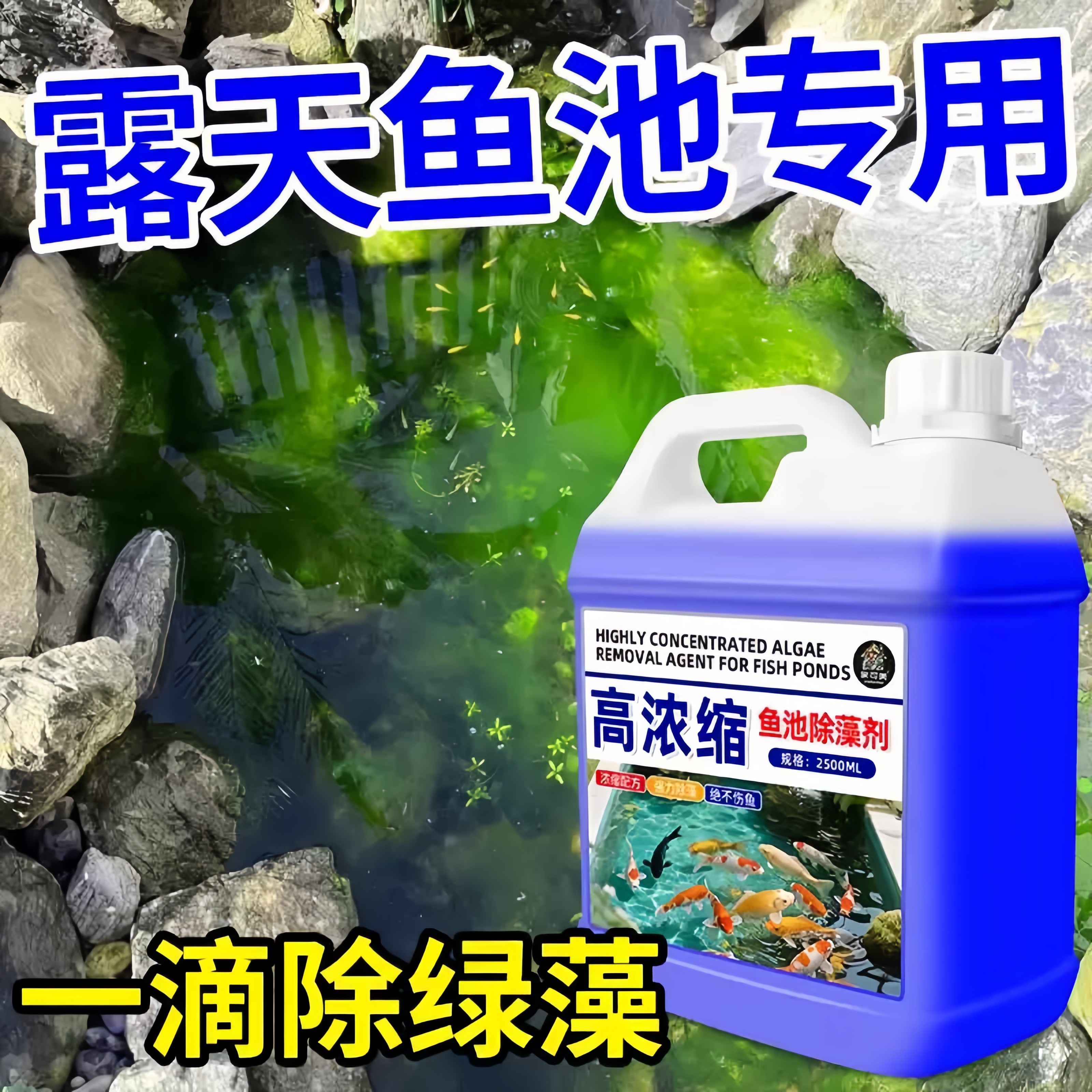 鱼缸除藻去苔剂青苔清不