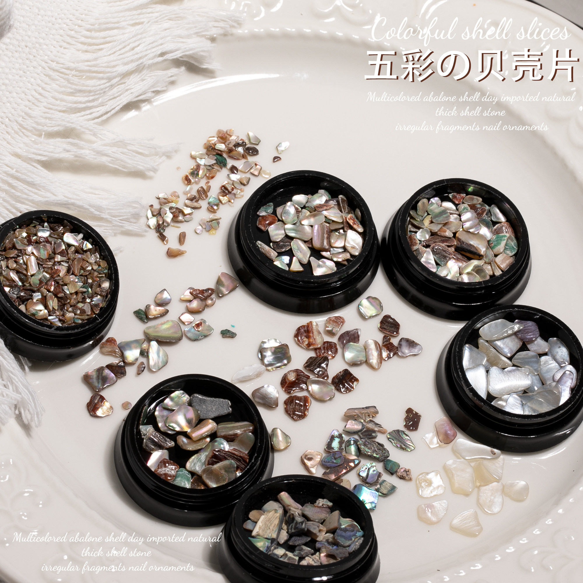 五彩贝壳片不规则碎石五彩鲍鱼贝
