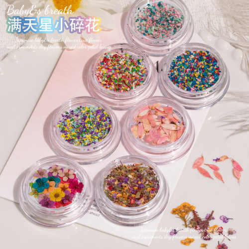 满天星小干花碎彩色花瓣