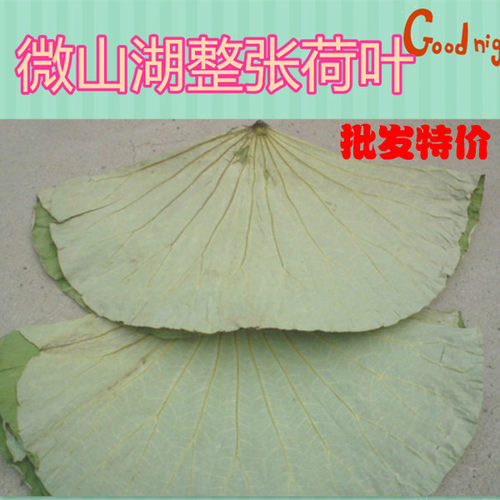 荷叶微山湖野生整张泡茶包邮