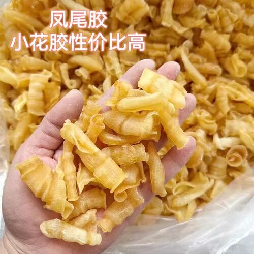 凤尾胶鱼胶花胶海味干货天然正品餐饮炖奶煲汤滋补品网红鱼胶批发